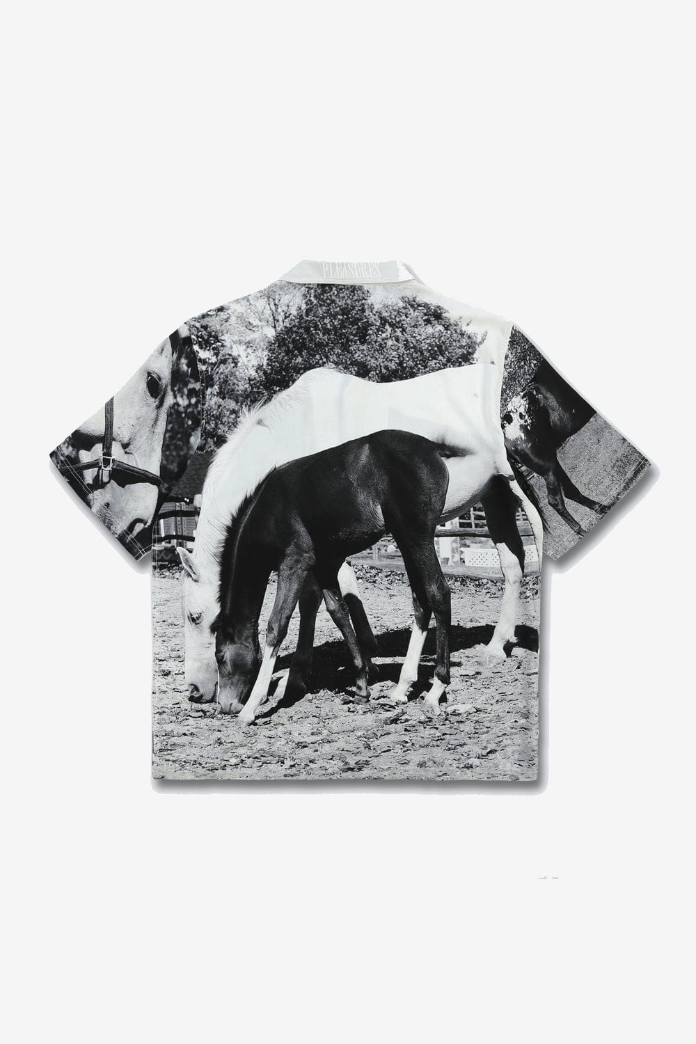 PLEASURES Horses Button Down (White) - Commonwealth