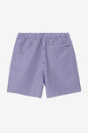 Carhartt WIP Island Swim Trunk (Arrenga Matson Stripe)