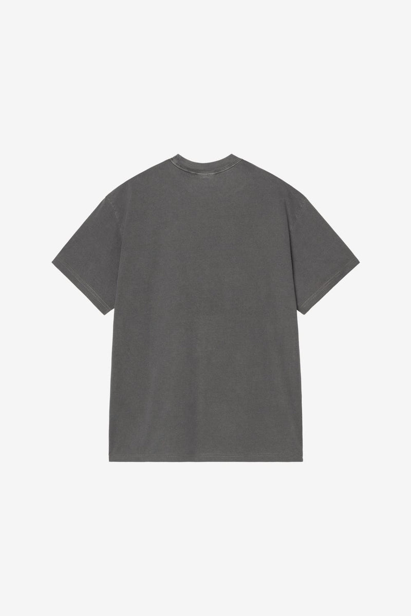 Carhartt WIP Terrestrial T-Shirt (Black/Arbusta Pig. Dyed)