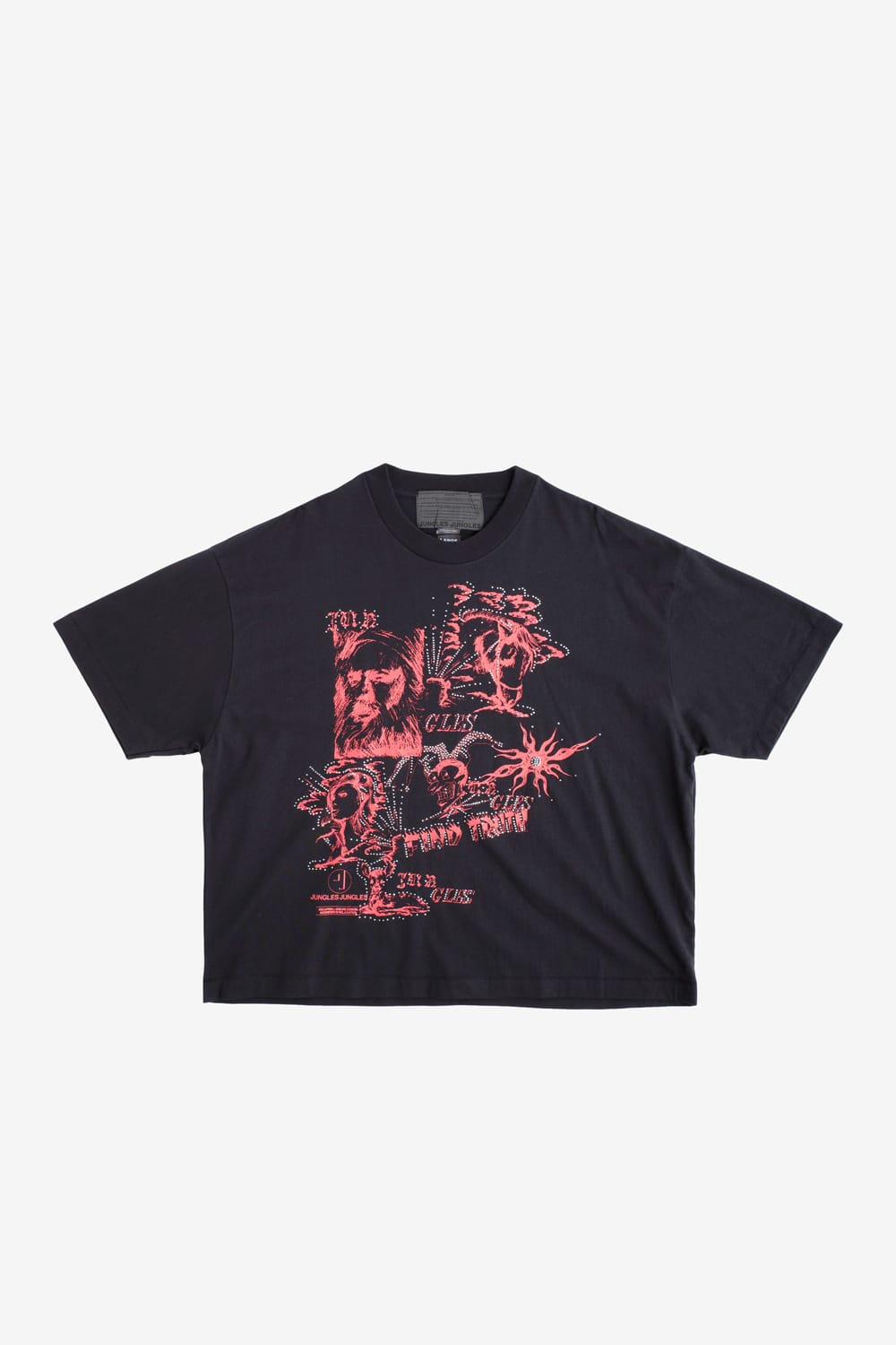 Find Truth Tee