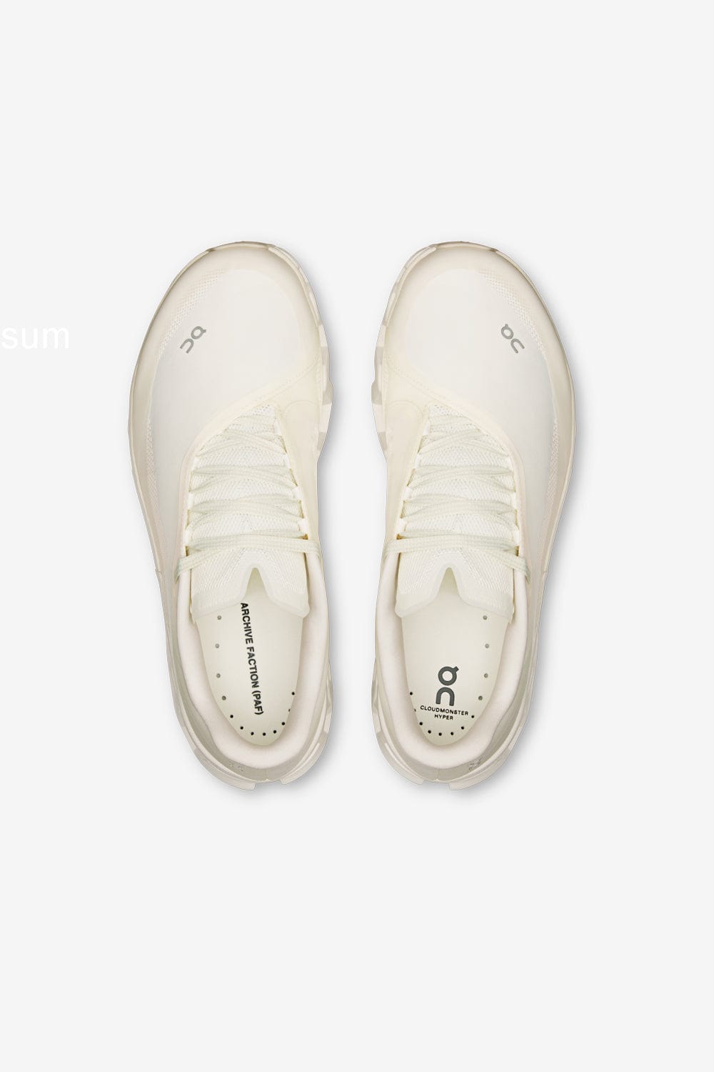 ON Cloudmonster Hyper PAF (White/White)